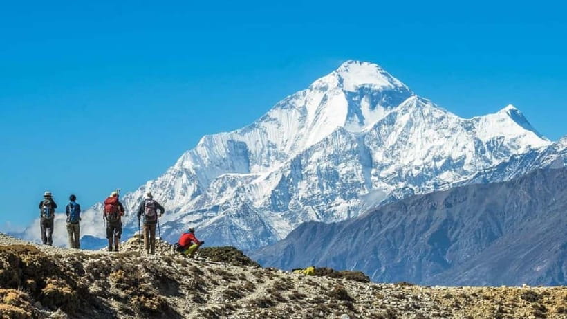 Pokhara: 7-Day Annapurna Base Camp Trek & Natural Hot Spring - Day 3: Chomrong to Himalaya through bamboo and rhododendron