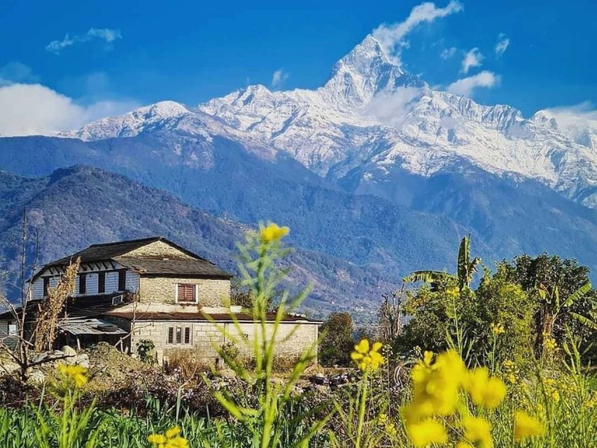 Pokhara: 9-Day Annapurna Base Camp Trek with Poon Hill - Day 6: Deurali to Annapurna Base Camp at 4,130 meters