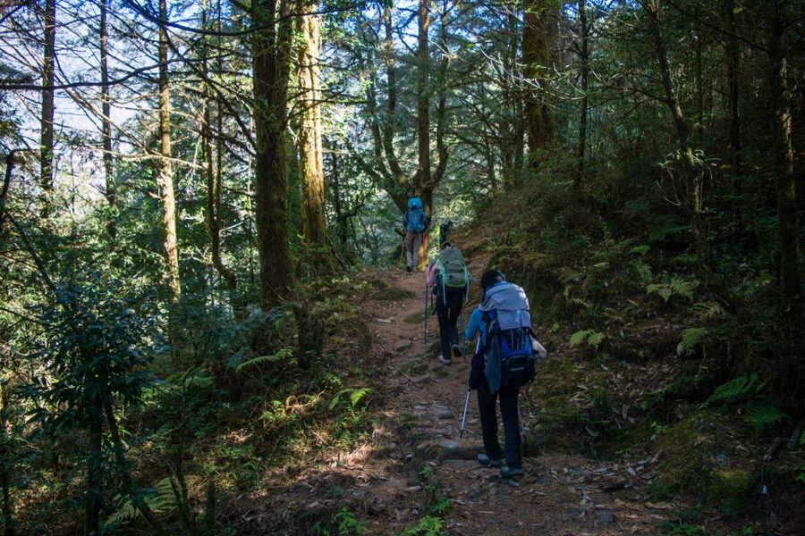 Pokhara: 9-Day Annapurna Base Camp Trek with Poon Hill - Day 7: The long descent to Bamboo