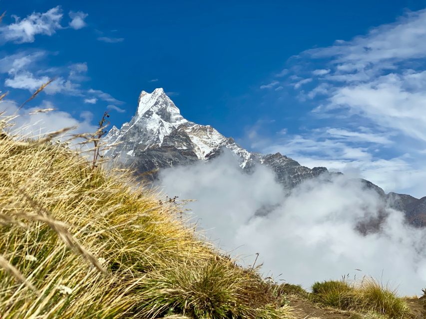 Pokhara: Majestic Mardi Base Camp Guided Trek with HotSpring - The guide makes a practical difference
