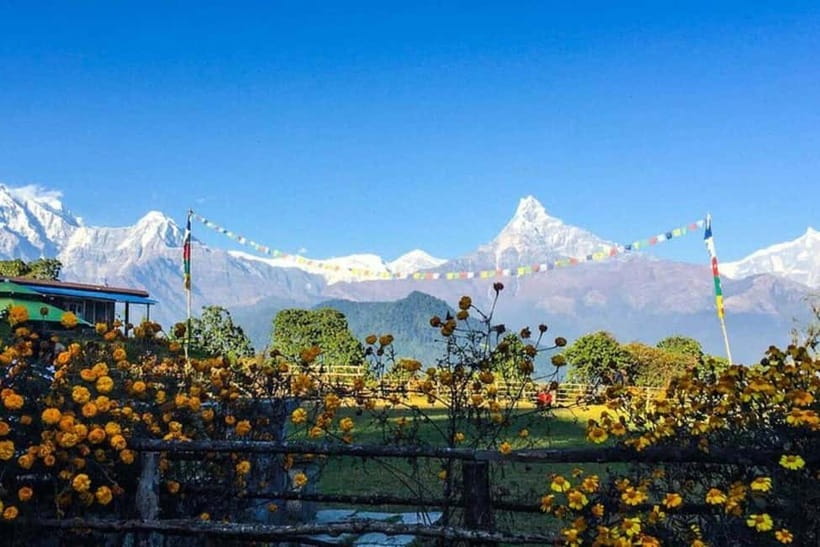 Pokhara: Poon Hill Trek - Why Poon Hill works as a four-day Himalayan trek
