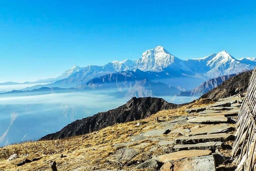 Pokhara: Poon Hill Trek - Day 2: Rhododendron forest on the way to Ghorepani