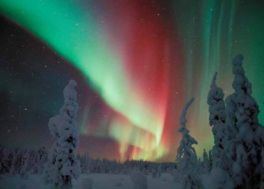 Polar Night Snowshoe Trek - A Quiet Start at Xwander Nordic