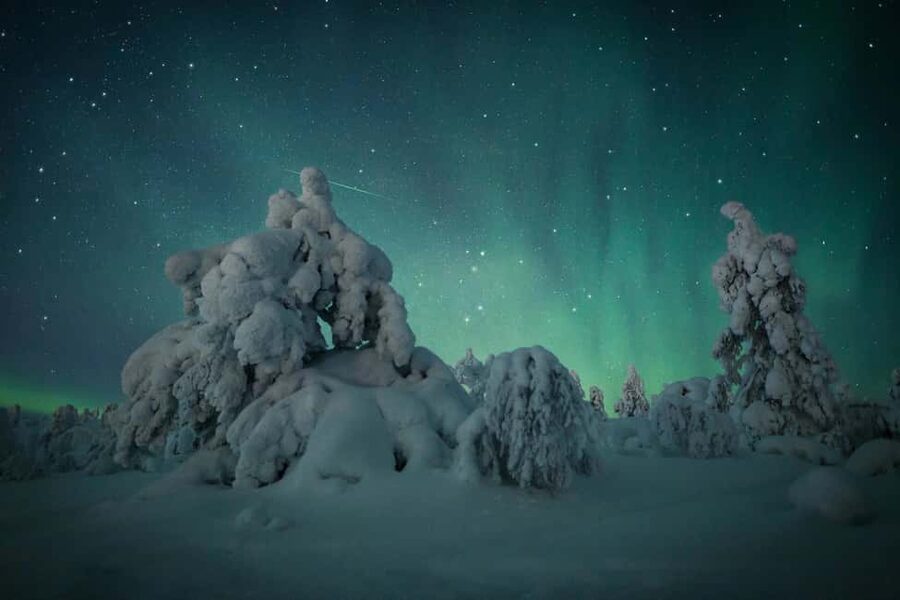 Polar Night Snowshoe Trek - Searching the Dark Sky for Northern Lights
