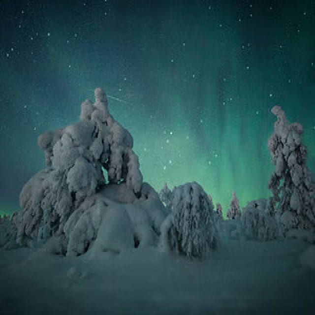 Polar Night Snowshoe Trek - Clothing Costs and Cold Weather Planning