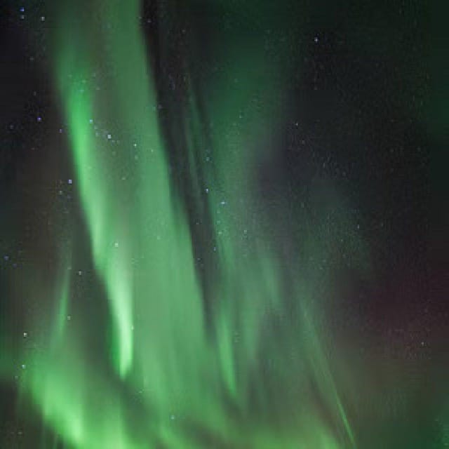 Polar Night Snowshoe Trek - Booking Details That Matter
