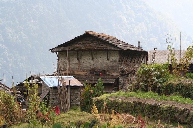 Poon Hill Trek - Ulleri’s stone steps and the forests above it