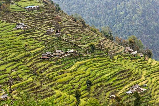 Poon Hill Trekking- A day to explore Nepal in a short time - Returning to Kathmandu by road