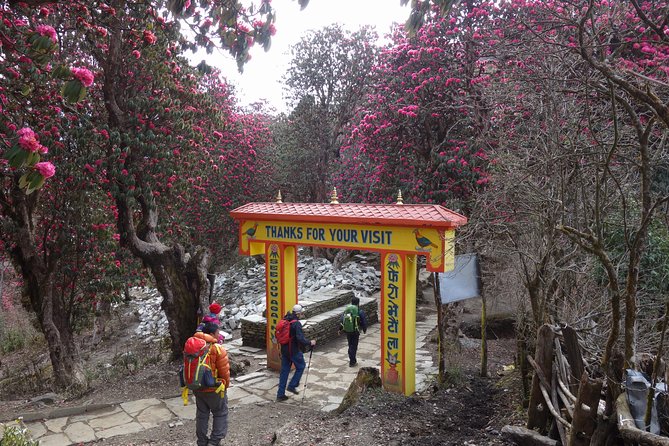 Poonhill Trek - Day 1: Kathmandu to Pokhara by road or air