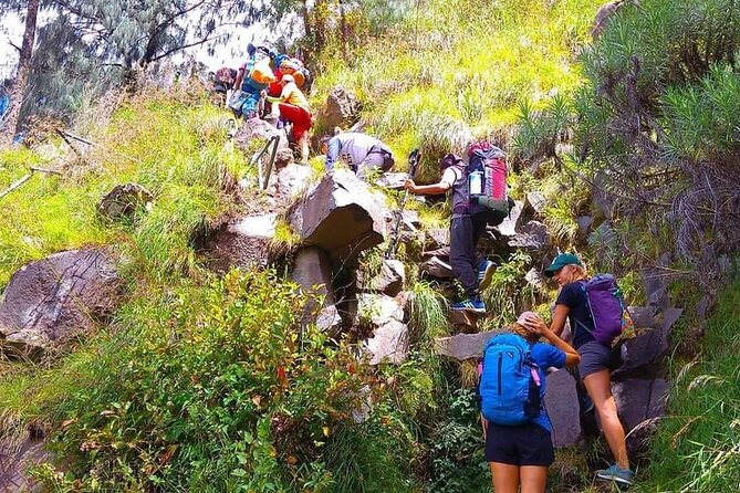 Popular Rinjani Trekking Tour Service To Summit For 2 Days Via Sembalun Trail - Comfort, communication, and service