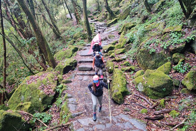 Private 12-Day All Inclusive Guided Annapurna Base Camp Trek Tour - Day 4: Chhomrong and the first sustained climb