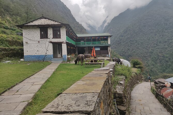 Private 12-Day All Inclusive Guided Annapurna Base Camp Trek Tour - Day 7: Machhapuchhre Base Camp and Annapurna Base Camp