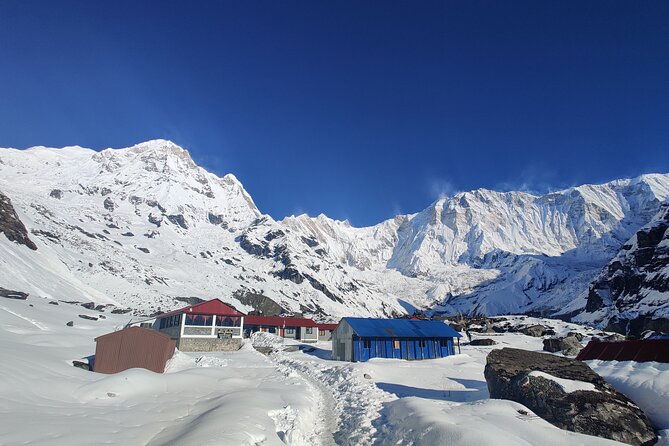 Private 12-Day All Inclusive Guided Annapurna Base Camp Trek Tour - Day 8: Sunrise at ABC and the long descent to Sinuwa