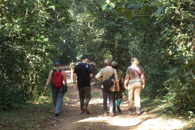 Private 2 Days Volcano Golden Monkey and Bwindi Gorilla Trek - Two rare primate encounters in 48 hours