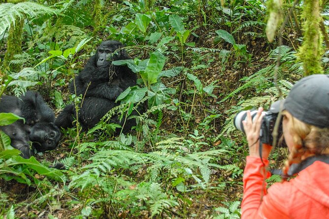 Private 3 Day Gorilla Trekking Safari in Uganda - The Batwa visit adds a necessary second story