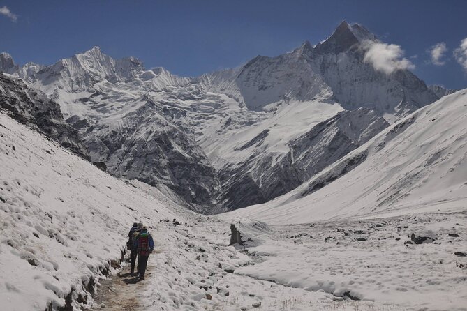 Private 7 - Day Annapurna Base Camp Trekking - Day 4: Following the Modi River to Annapurna Base Camp