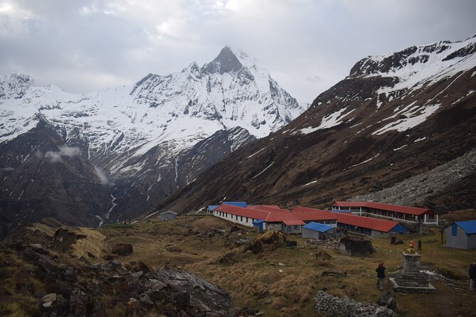 Private 7 - Day Annapurna Base Camp Trekking - Day 6: Forest trails and the Jhinu Danda hot spring