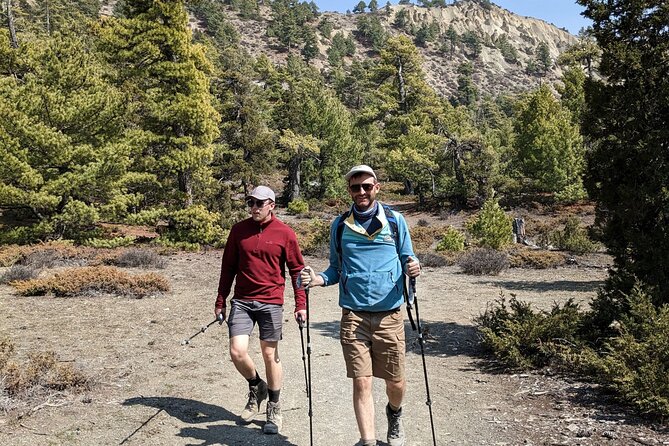 Private Annapurna Circuit Trek - Chame to Pisang brings forests, orchards, and prayer flags