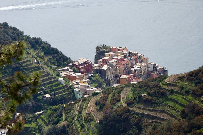 Private Cinque Terre Trek & Tour - Groppo And The Less-Seen Side Of Cinque Terre