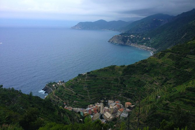Private Cinque Terre Trek & Tour - The Hills Above Riomaggiore And Toward Groppo