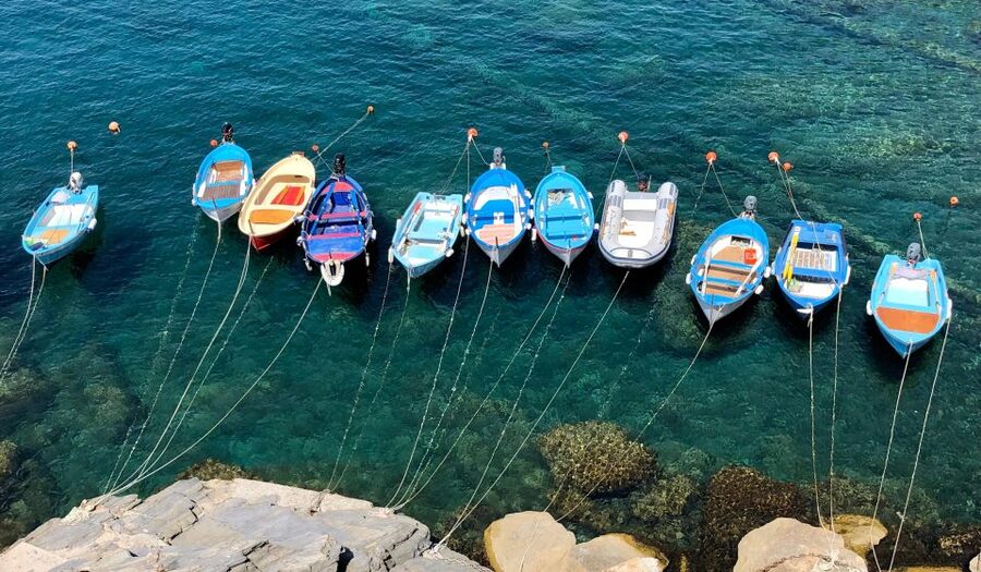 Private Cinque Terre Trekking Tour - Price and what you receive for $190