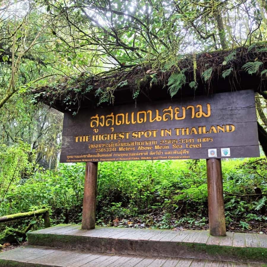 Private Doi Inthanon, Nature Trail, Wat Phra That Doi Kham - Key points at a glance
