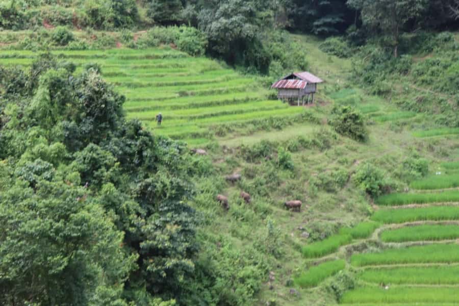 Private Doi Inthanon, Nature Trail, Wat Phra That Doi Kham - Wat Phra That Doi Kham above Chiang Mai