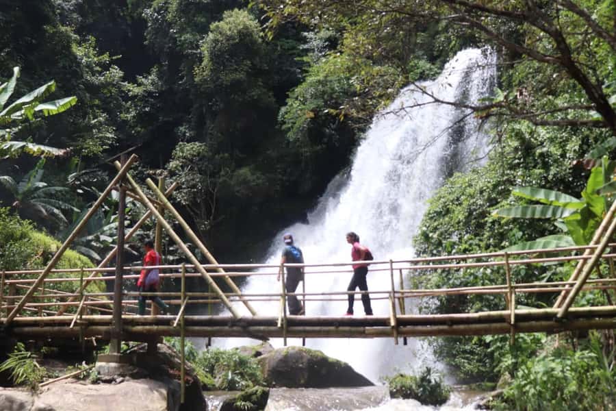Private Doi Inthanon, Nature Trail, Wat Phra That Doi Kham - What $167 per person includes