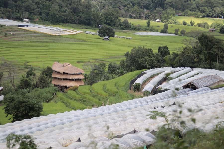Private Doi Inthanon With Trekking Pha Dok Siew Nature Trail - What the $141 price includes