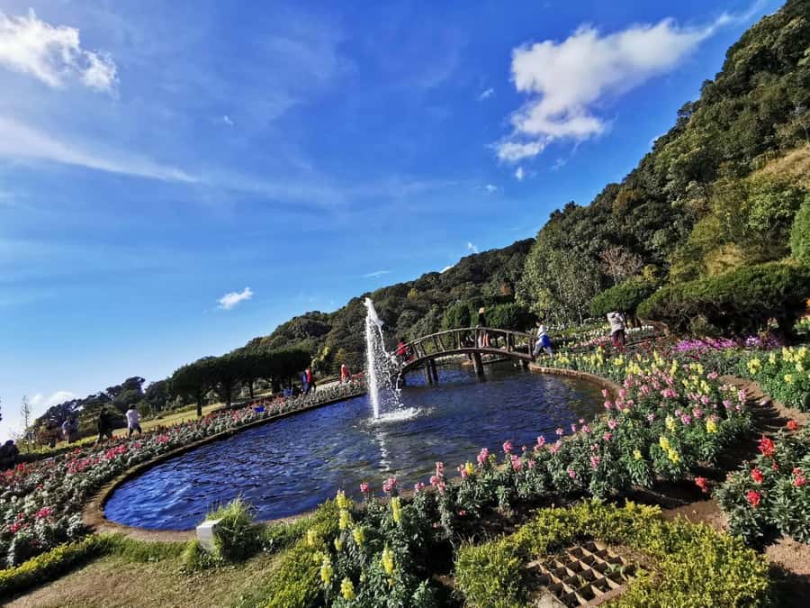 Private Doi Inthanon With Trekking Pha Dok Siew Nature Trail - The King and Queen’s pagodas and gardens