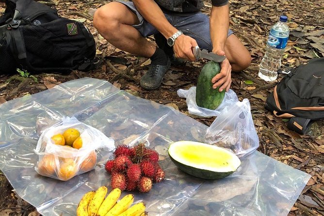 Private Full-Day Bukit Lawang Trekking Tour From Medan - What $128.21 buys you