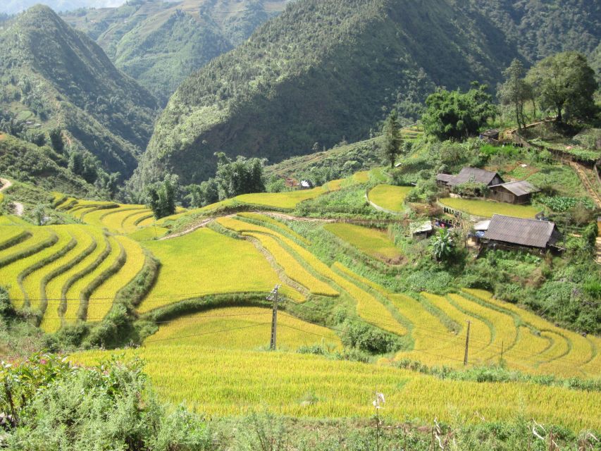 Private Hoang Lien National Park & Tribal Village Trek - How private guiding changes the day