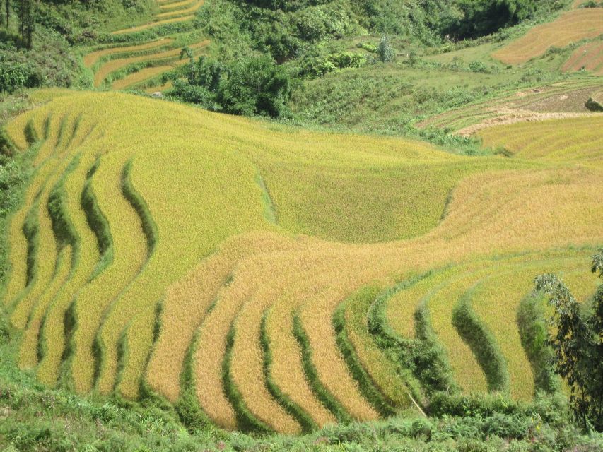 Private Hoang Lien National Park & Tribal Village Trek - Timing, weather, and what to pack