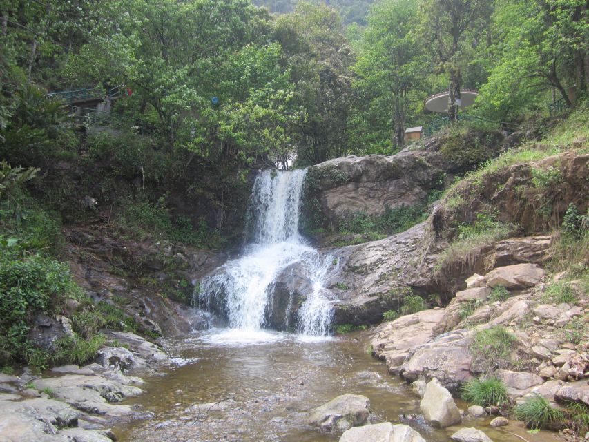 Private Hoang Lien National Park & Tribal Village Trek - Should you book this Sa Pa trek?