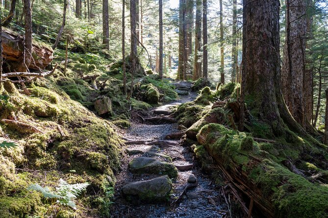 Private Ketchikan Mountain Lake Extended Trek to Alpine Overlook - Key points to know before booking