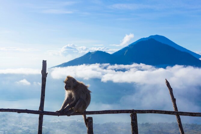 Private Mount Batur Sunrise Trekking Tour - Returning downhill and back to your hotel