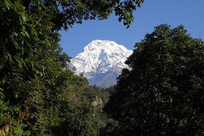 Private Multi Day Nepal Poon Hill Trekking Tour - Day 4: Poon Hill before sunrise, then down to Ghandruk