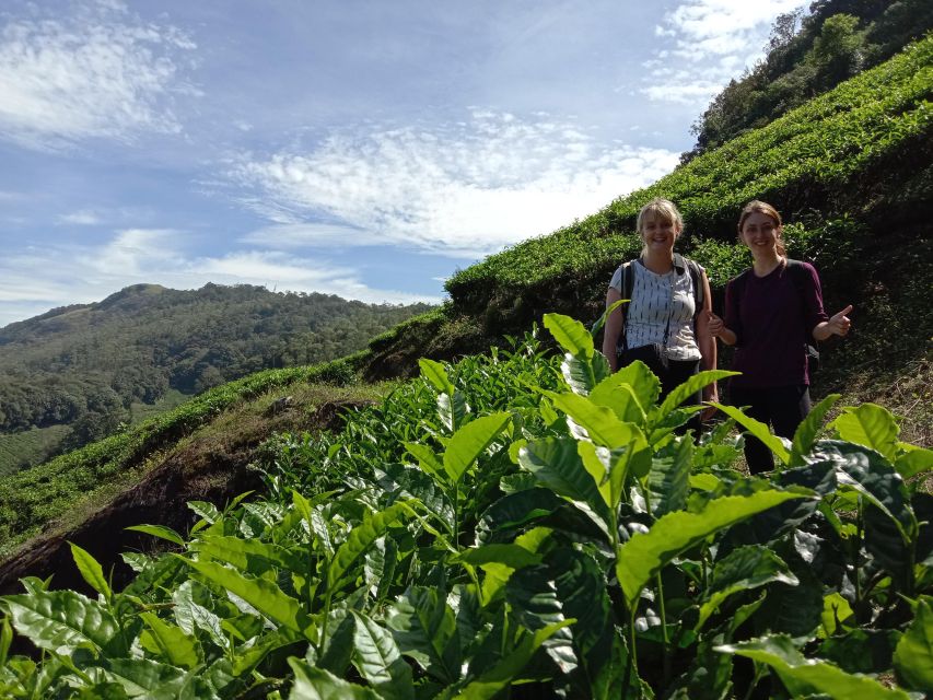 Private Munnar Tea Trek - Key points to know before booking