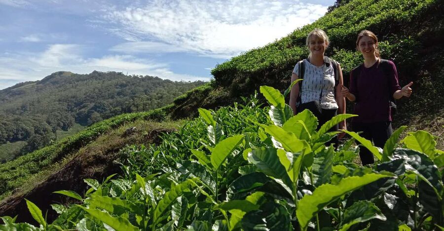 Private Munnar Tea Trek - Why this Munnar walk is worth your time