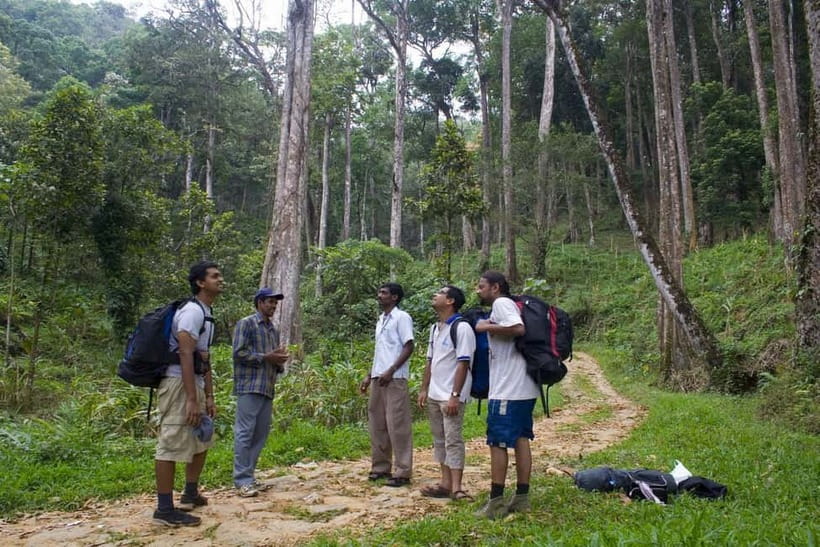 Private Munnar Tea Trek - Tea, fruit, snacks, and the small comforts