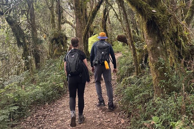 Private One-Day Trek to Mount Kilimanjaro - Key points to know before booking
