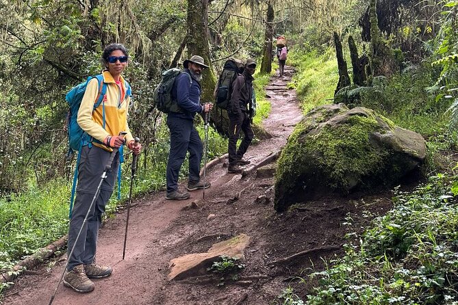 Private One-Day Trek to Mount Kilimanjaro - What the $260 price includes