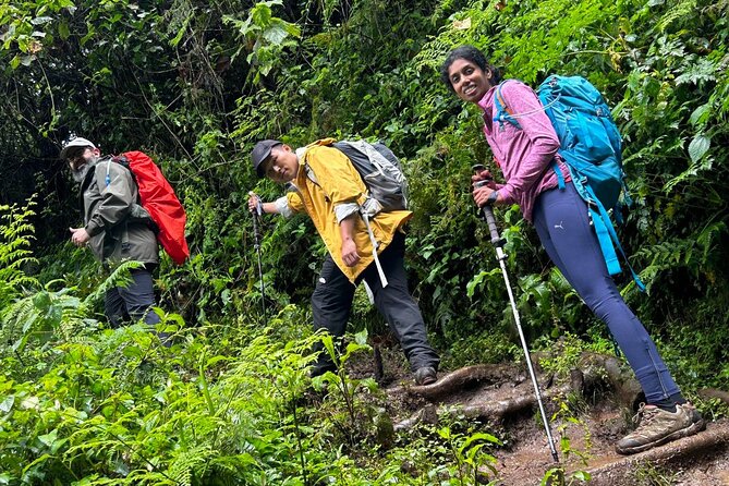 Private One-Day Trek to Mount Kilimanjaro - The early start and ride to Marangu Gate