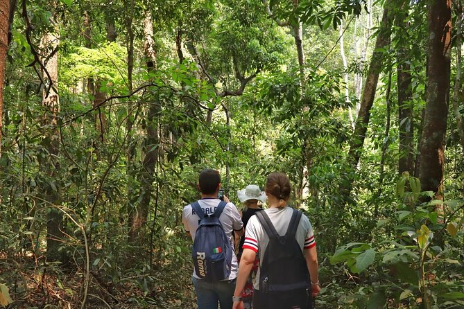 Private Tour Doi Inthanon And Trekking Nature Trail, Chiang Mai - Lunch before the walking portion
