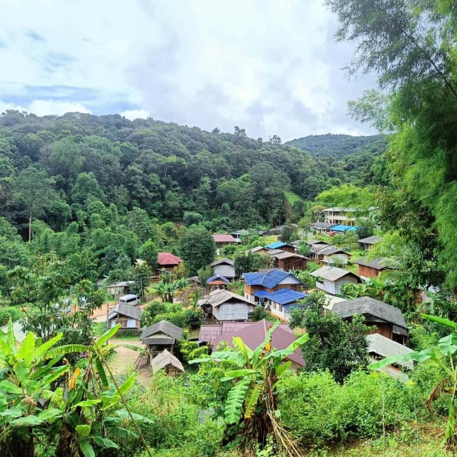 Private Tour Doi Inthanon, Trekking Kew Mae Pan Nature Trail - Ban Mae Klang Luang and Karen coffee