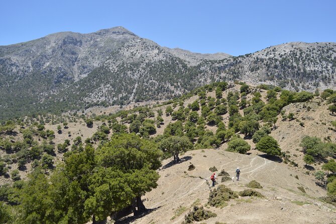 Private Trekking Rouvas Gorge - Starting at Zaros Lake on Crete’s E4 trail