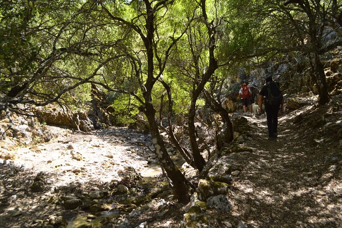 Private Trekking Rouvas Gorge - Who should book this private hike?