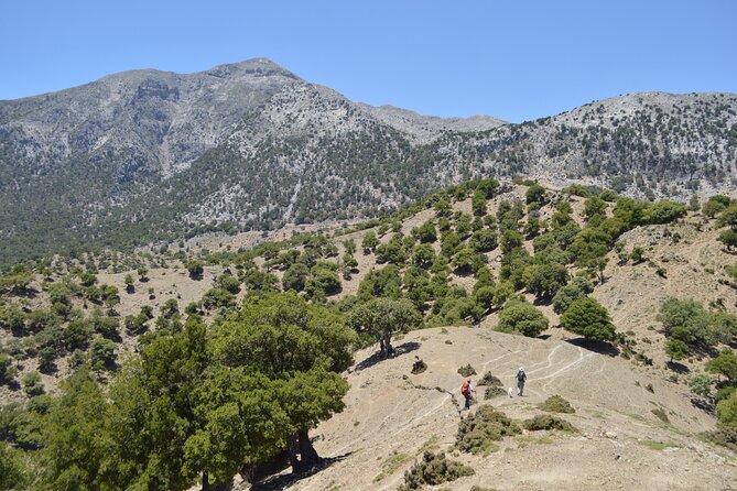 Private Trekking Rouvas Gorge - Should you book the Rouvas Gorge experience?