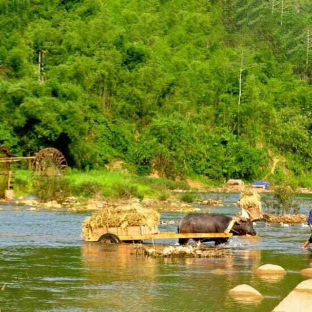 Pu Luong 2 Days 1 Nights - Offbeat Trekking Tour - Bamboo rafting at Chieu Lau Dam