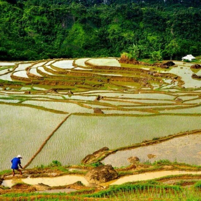 Pu Luong 2 Days 1 Nights - Offbeat Trekking Tour - What the walking is really like